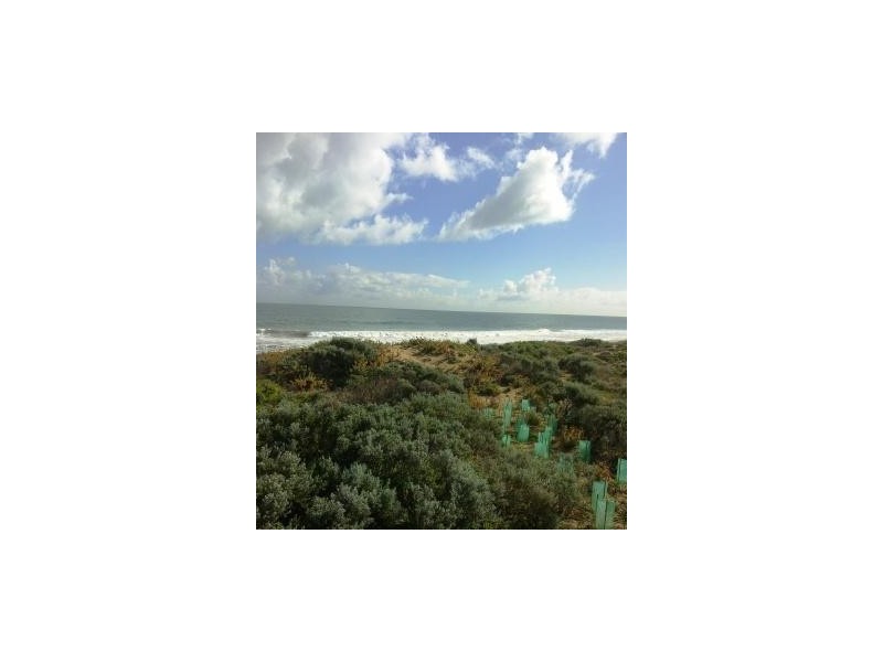 6 BLUEJAY COURT, Singleton WA 6175