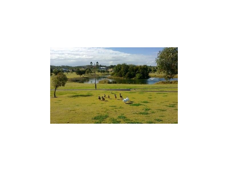 6 BLUEJAY COURT, Singleton WA 6175