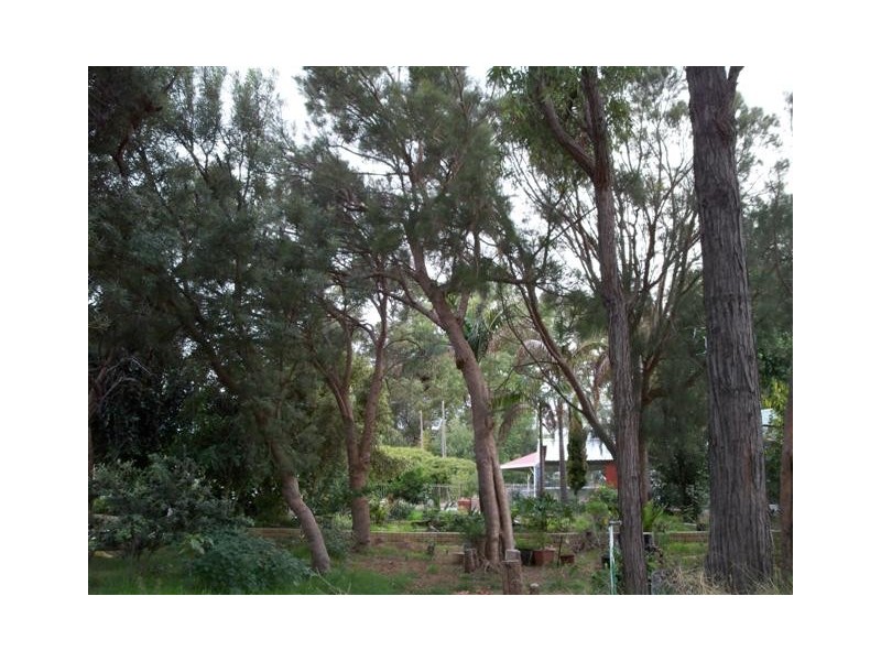 30 Marlock Way, Parklands WA 6210