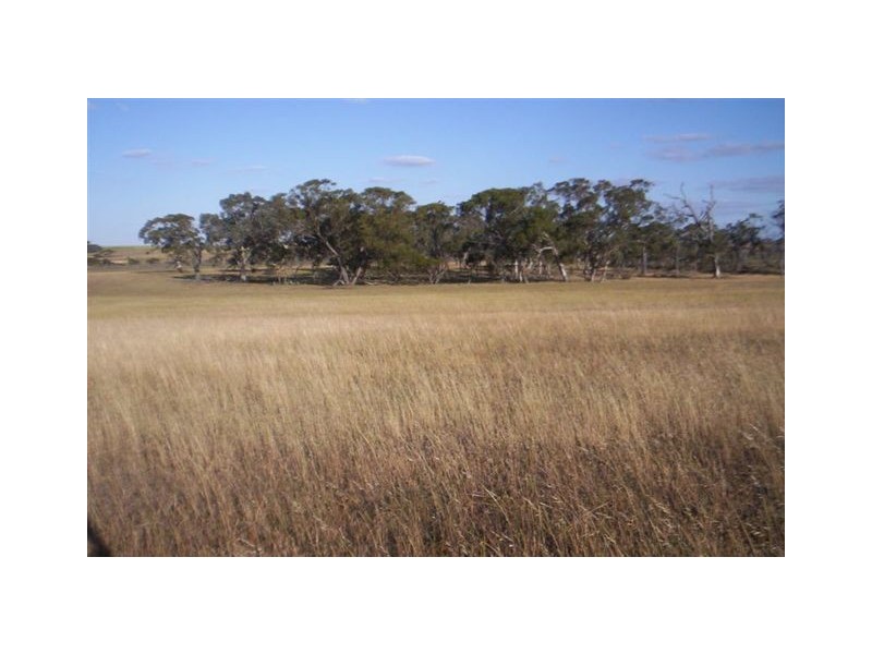 LOT 17369 Kelly Road, Yealering WA 6372