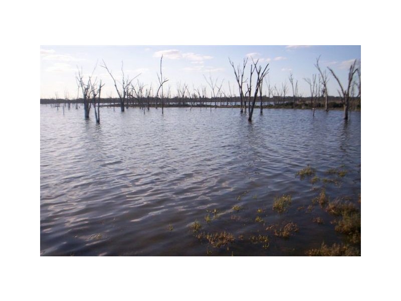 LOT 17369 Kelly Road, Yealering WA 6372