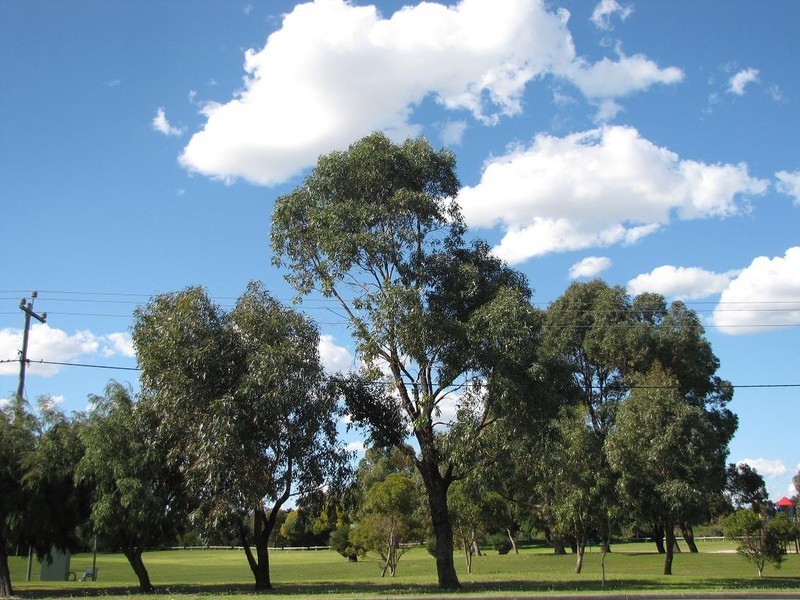 17A Victoria Street, Rockingham WA 6168