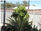 28 Wallingford Crescent, Wellard WA 6170