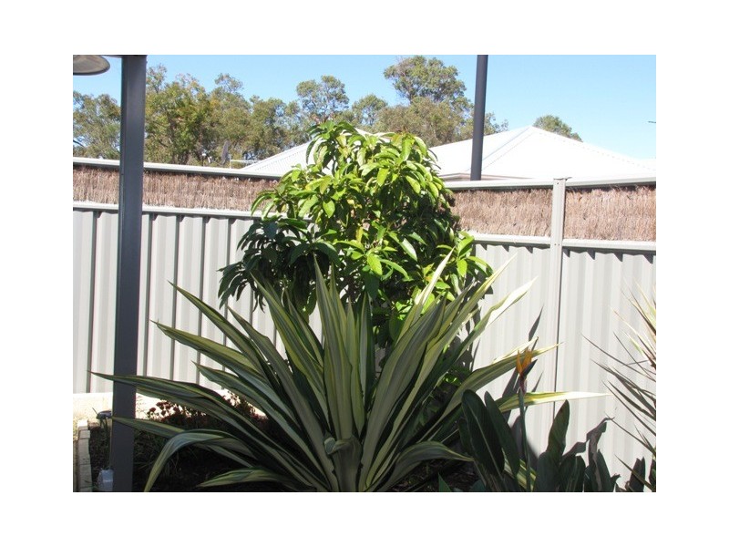 28 Wallingford Crescent, Wellard WA 6170