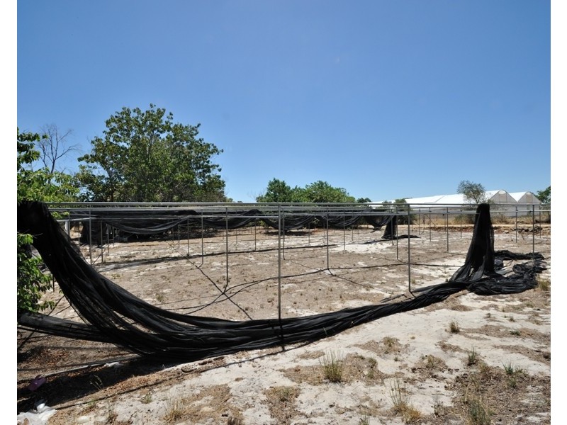 562 St Albans Road, Baldivis WA 6171