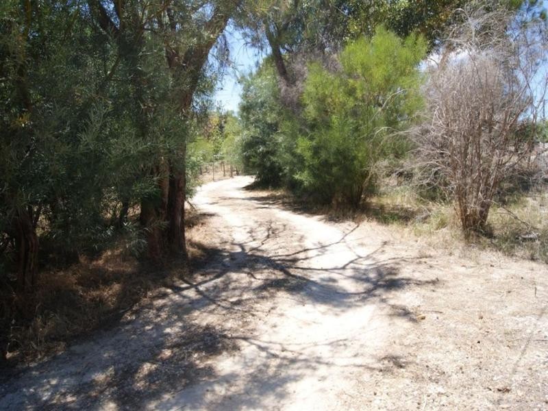 12 Homestead Drive, Wellard WA 6170