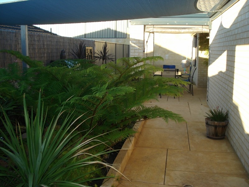 16 Cervantes Ave, Baldivis WA 6171