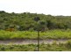 13 Dunns Way, Port Kennedy WA 6172