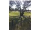 26 Palomino Parade, Baldivis WA 6171