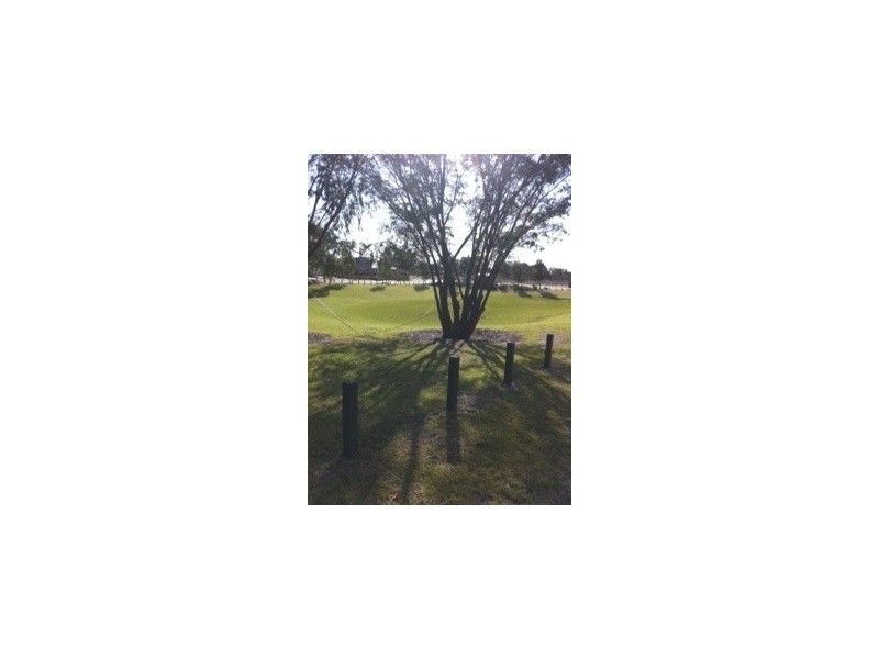 26 Palomino Parade, Baldivis WA 6171