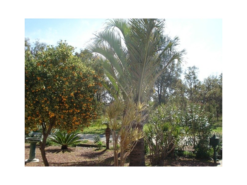 20 Tuart Ridge, Parmelia WA 6167