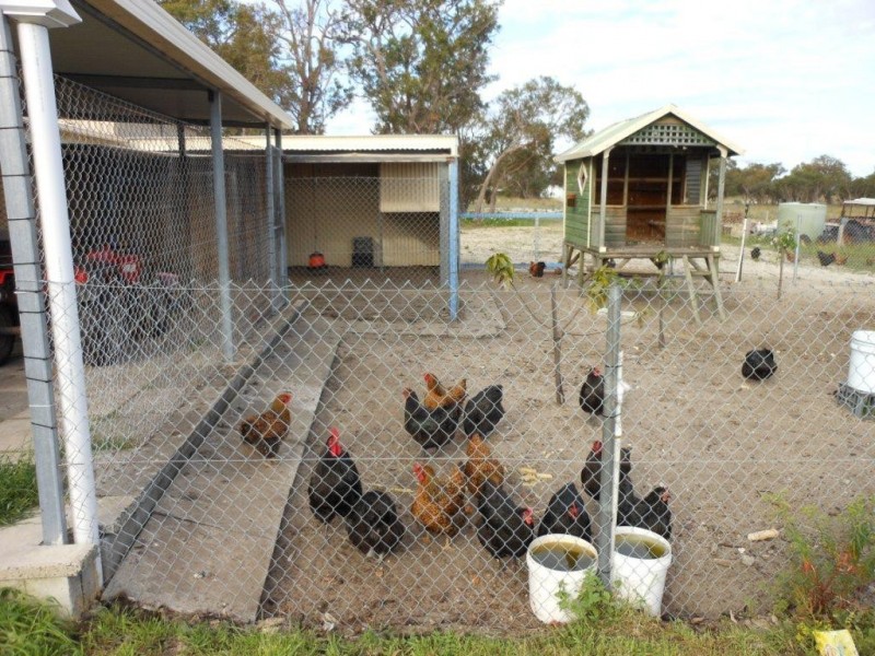 466  Karnup Road, Hopeland WA 6125