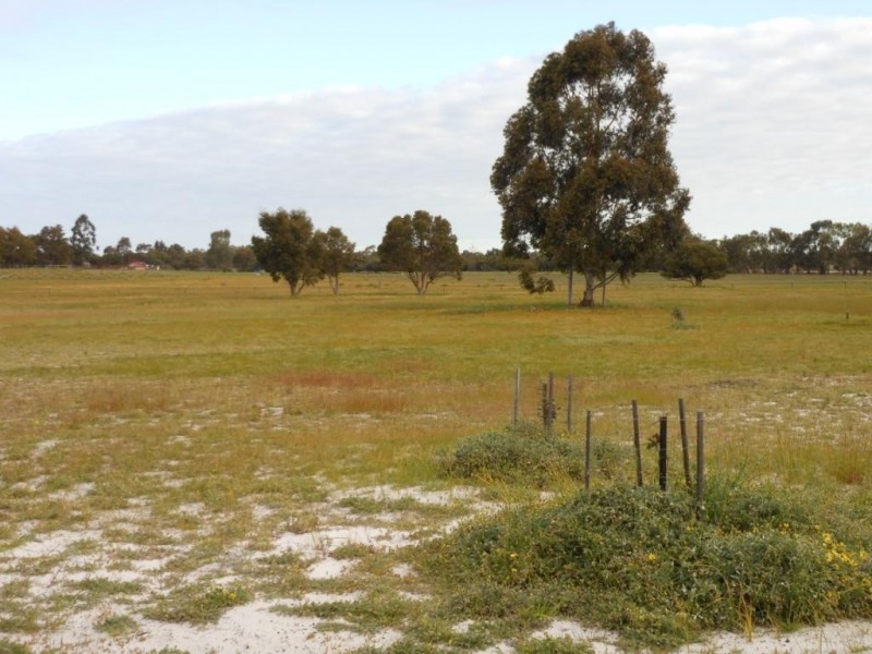 466  Karnup Road, Hopeland WA 6125