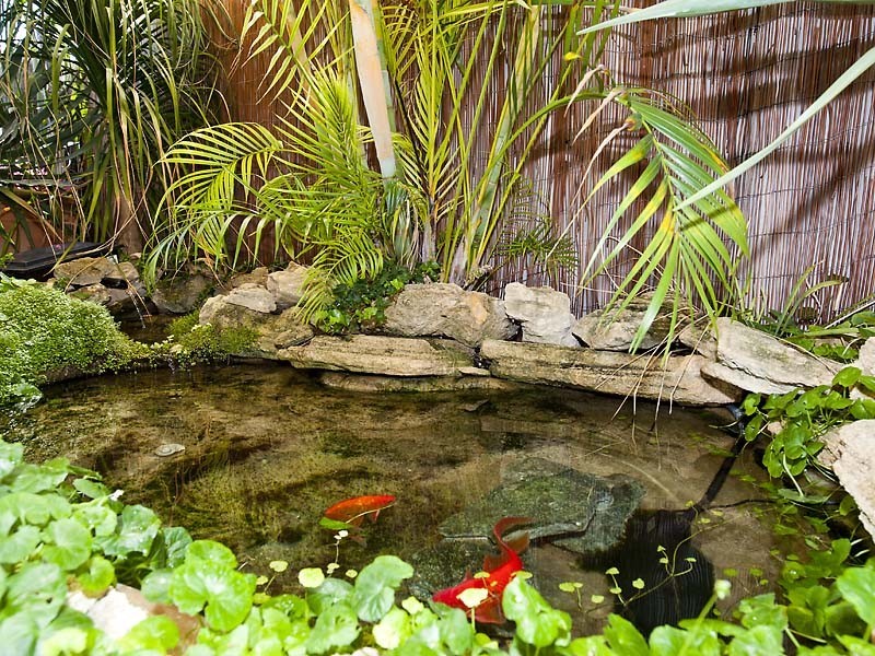 21 Laguardia Loop, Port Kennedy WA 6172