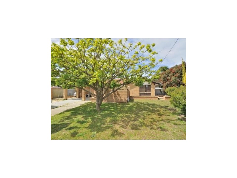 65 Grange drive, Cooloongup WA 6168