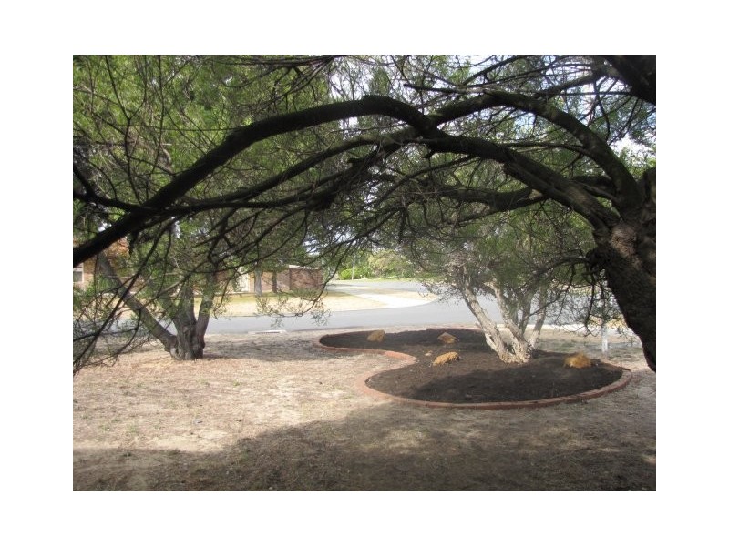 62 EXHIBITION WAY, Cooloongup WA 6168