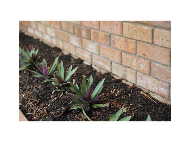 67 Elswick Street, Safety Bay WA 6169