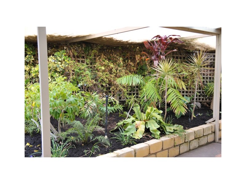 67 Elswick Street, Safety Bay WA 6169