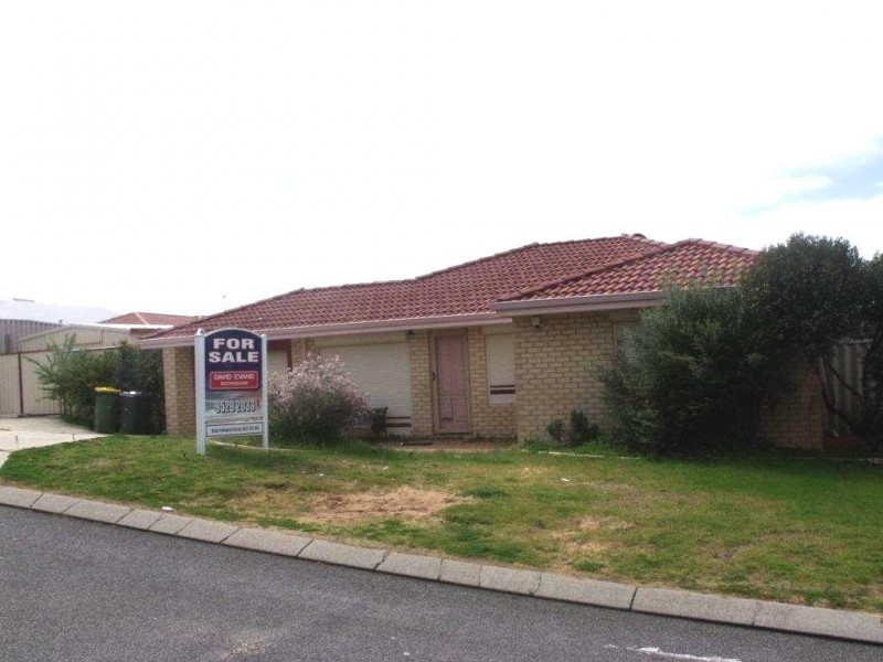 4 Fitzsimmonds Place, Leda WA 6170
