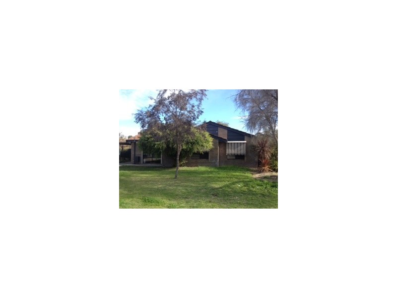 8 Greta Court, Cooloongup WA 6168