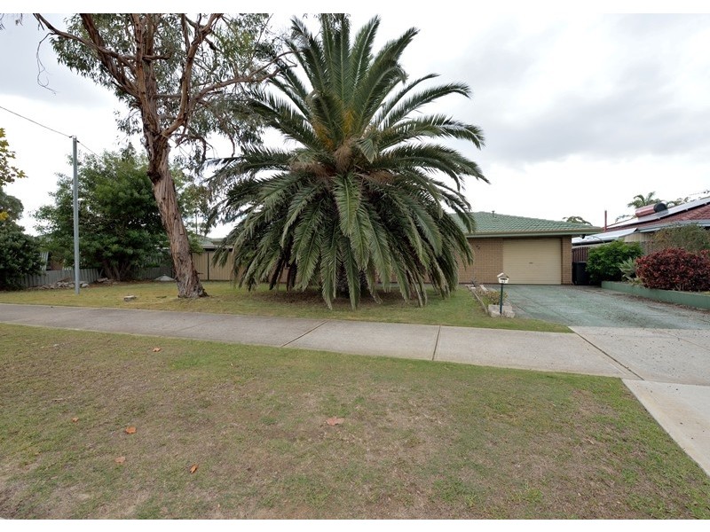 42 Carvie Street, Hillman WA 6168