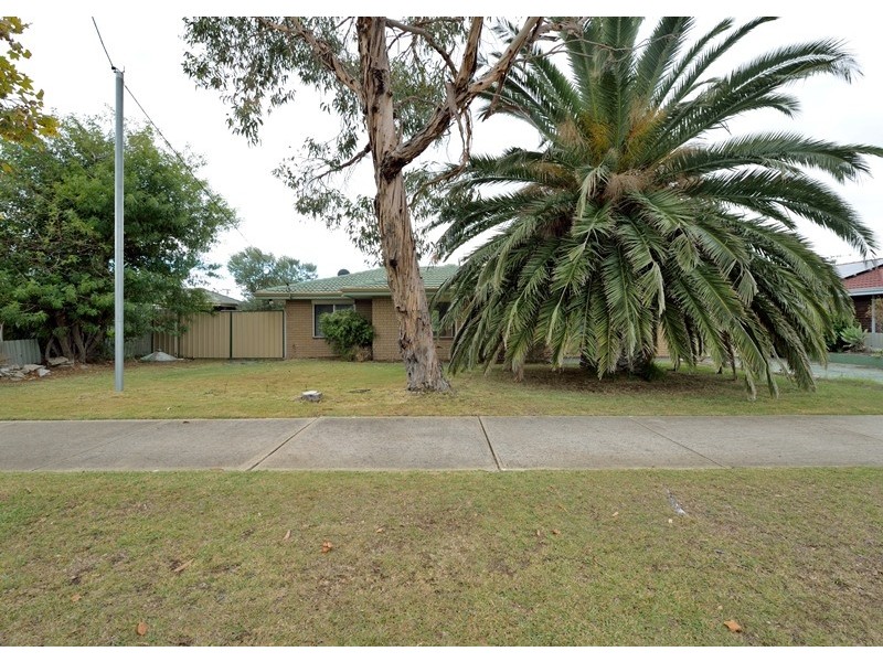 42 Carvie Street, Hillman WA 6168