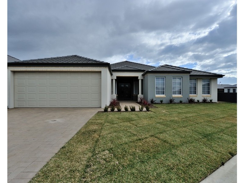 19 Pinto Avenue, Baldivis WA 6171