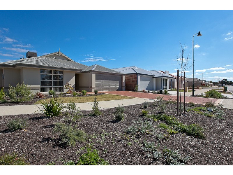 36 Campolina Avenue, Baldivis WA 6171
