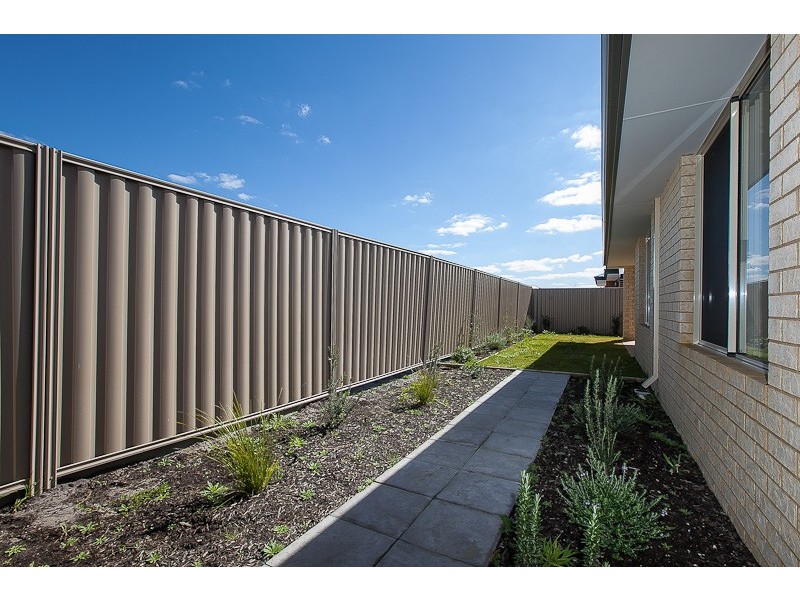 36 Campolina Avenue, Baldivis WA 6171