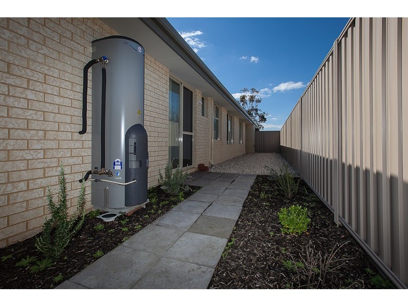 36 Campolina Avenue, Baldivis WA 6171