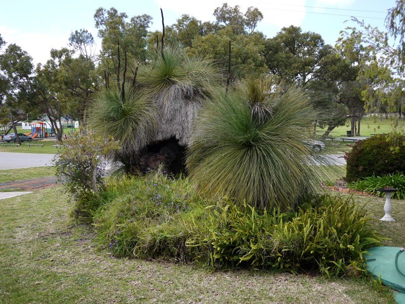 27 Rhodes Cr, Calista WA 6167