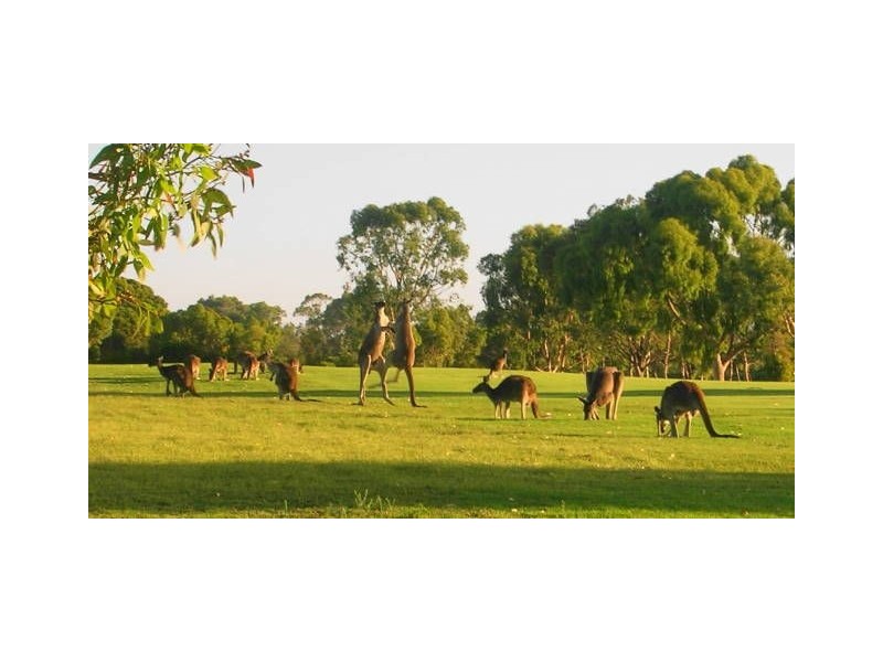 4/60 Elanora Drive, Cooloongup WA 6168