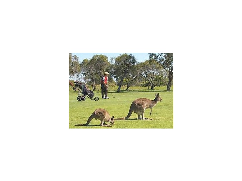 4/60 Elanora Drive, Cooloongup WA 6168