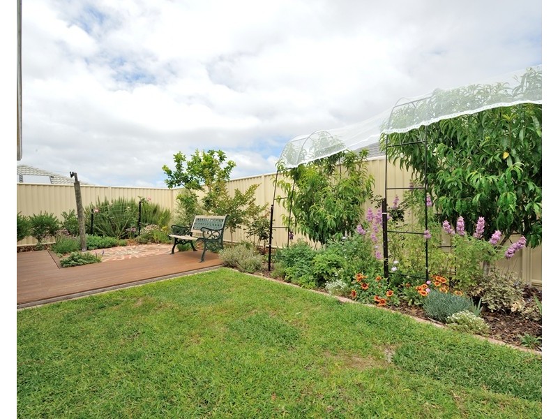 41 Wallaby Parade, Baldivis WA 6171