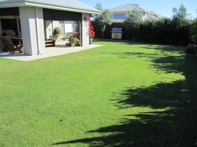 19 Makybe Drive, Baldivis WA 6171