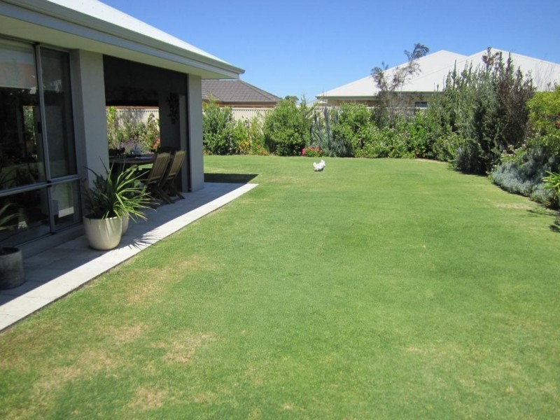 19 Makybe Drive, Baldivis WA 6171
