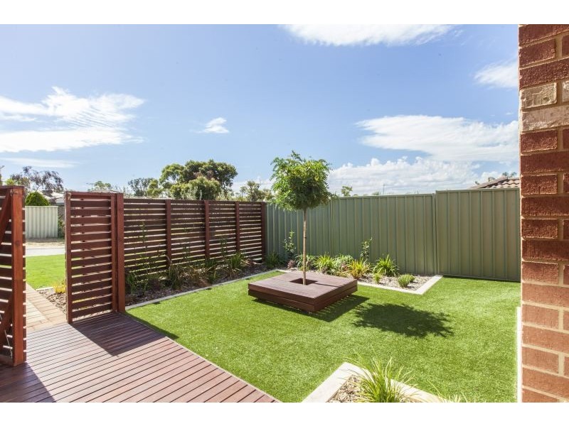 8 Ranunculus Court, Beeliar WA 6164