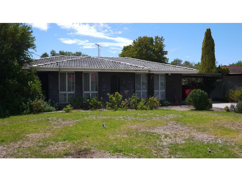 8 Mimbalup Close, Hillman WA 6168