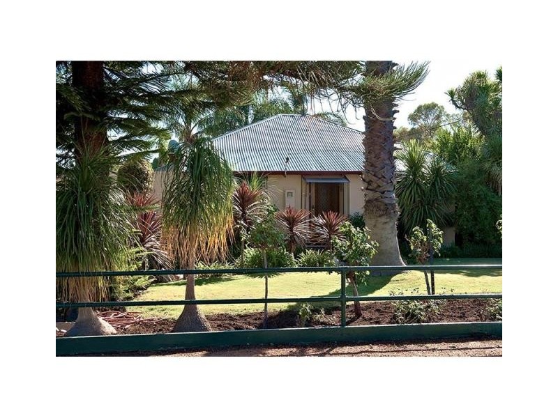 59 Northwood Street, Narrogin WA 6312