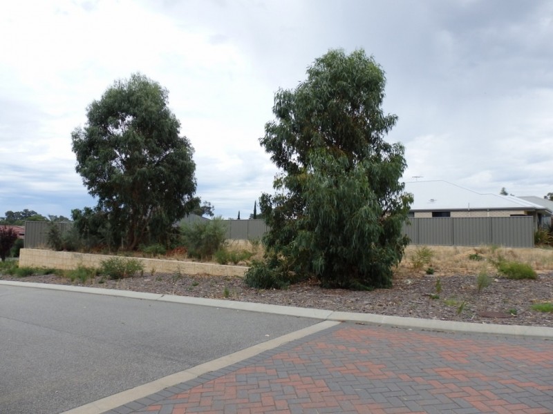 11 Fareham Crescent, Wellard WA 6170