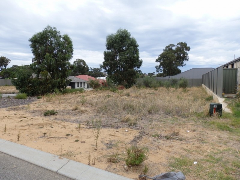 11 Fareham Crescent, Wellard WA 6170