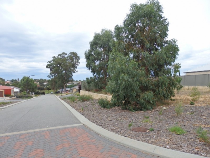 11 Fareham Crescent, Wellard WA 6170