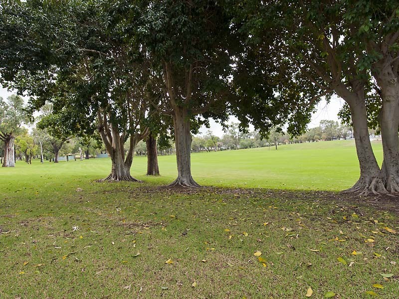 8 Lipscombe Court, Medina WA 6167