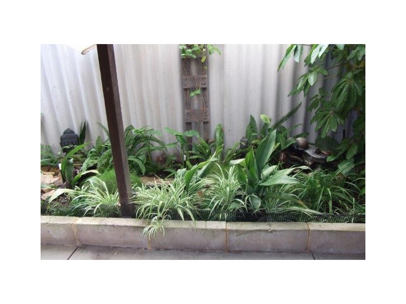 12 Link Way, Cooloongup WA 6168