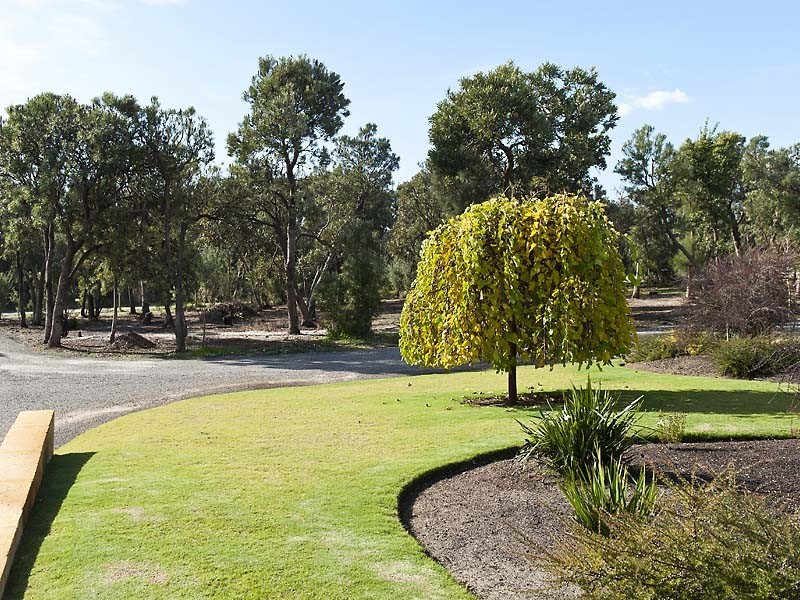 151 Braddock Road, Wellard WA 6170
