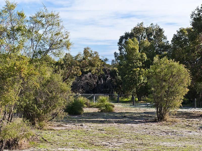151 Braddock Road, Wellard WA 6170
