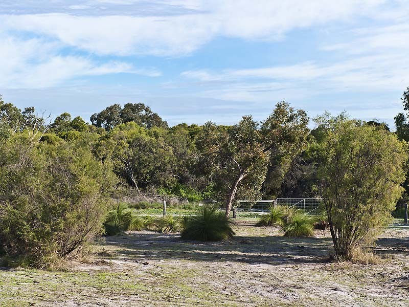 151 Braddock Road, Wellard WA 6170