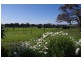 Lot 354 Red Gum Pass Road, Kendenup WA 6323