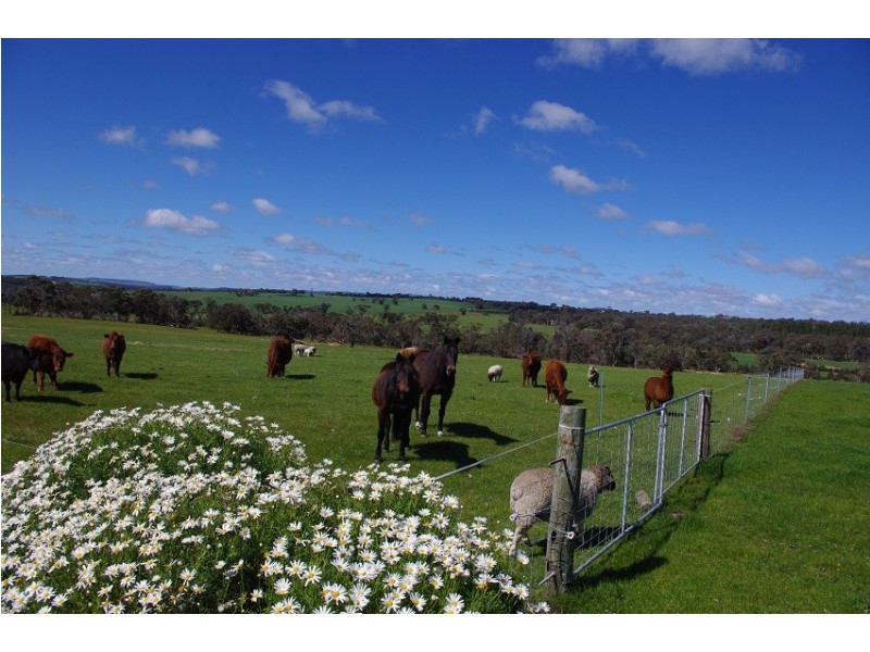 Lot 354 Red Gum Pass Road, Kendenup WA 6323