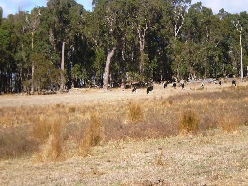 120 Penfold Road, Rosa Brook WA 6285